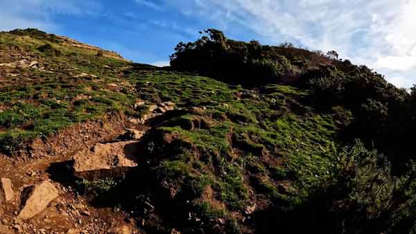 Шотландія, Східний Лотіан: юридична стежка Північного Бервіка