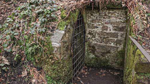 Ice House Braid Hills