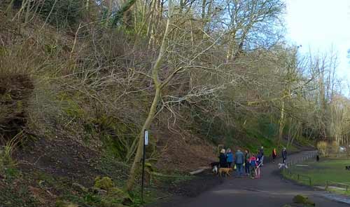 Walking path Braid Hills