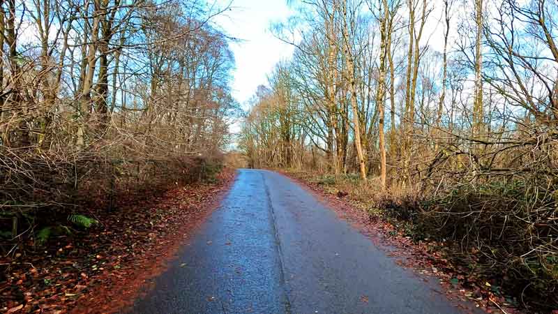 Тропа или дорога сквозь густой лес, ведущая от деревни Баллох к озеру Лох-Ломонд